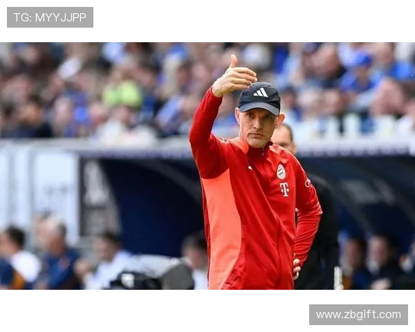 赫内斯揭露图赫尔背后的惊人秘密